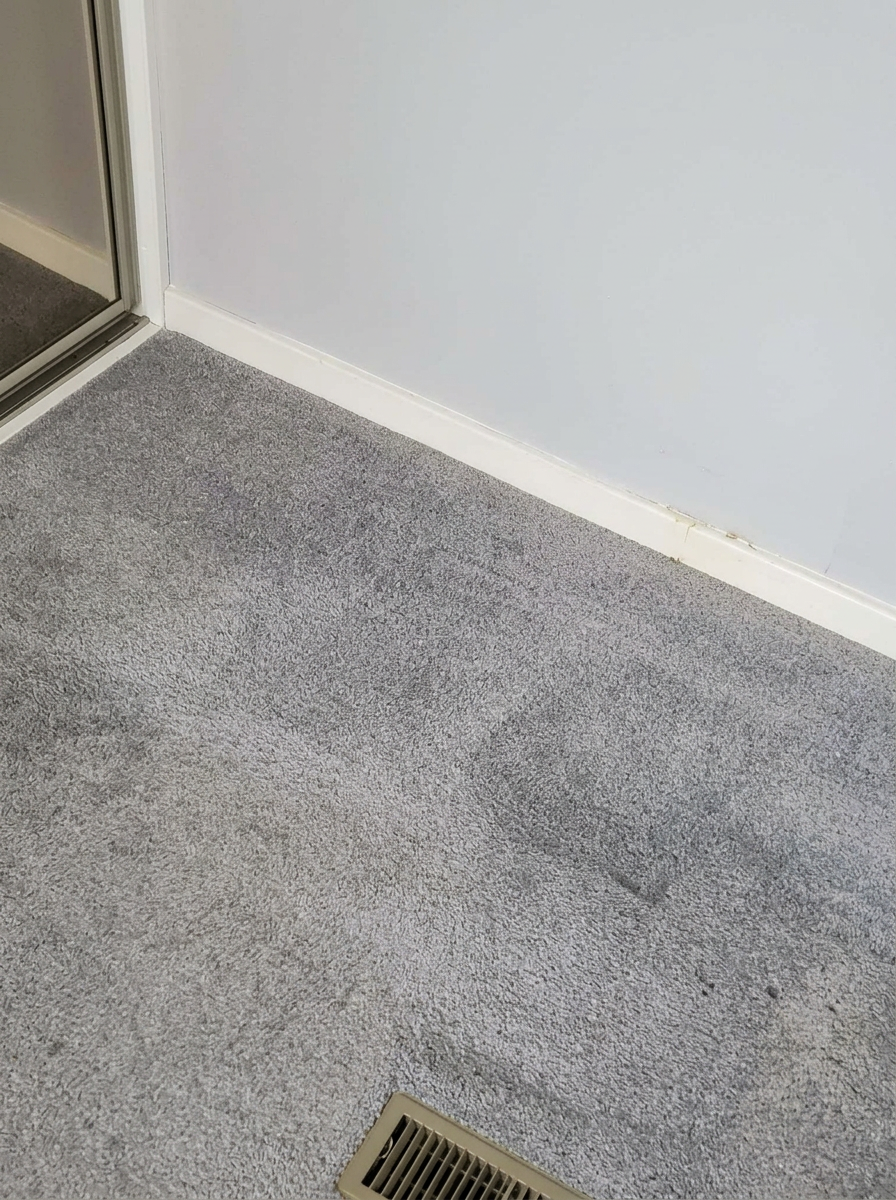 The same grey carpet now perfectly clean — stain completely lifted